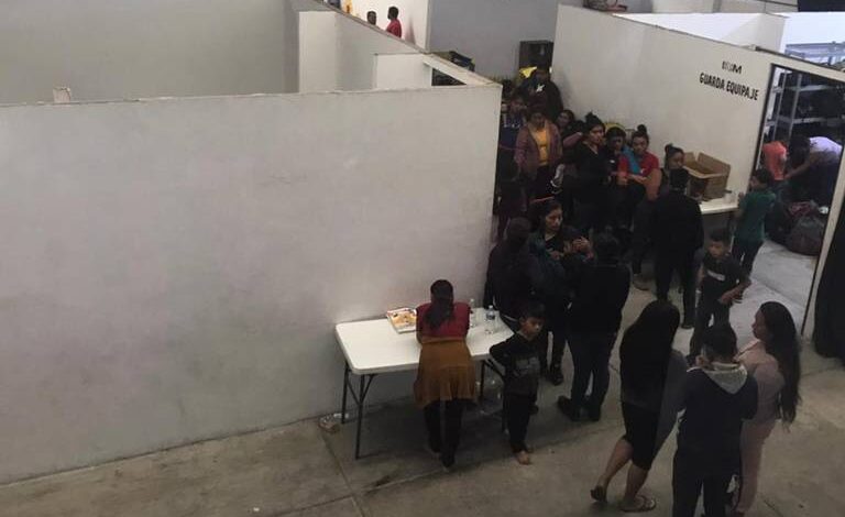 Migración confirma “rescate” masivo de 230 migrantes de nacionalidad guatemalteca