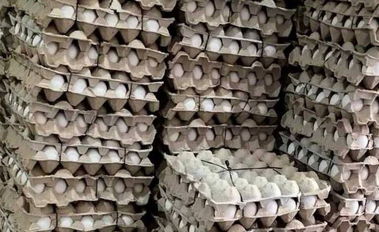 Baja producción de huevo por heladas