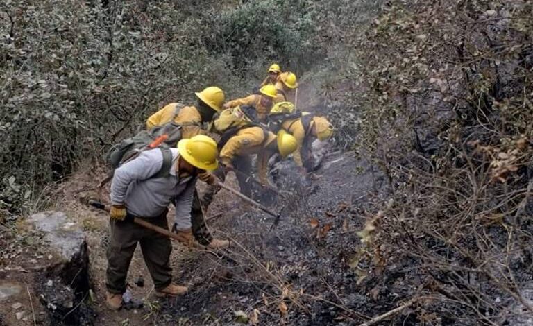 Controlan incendios en Tetela de Ocampo, El Verde y Chilchotla