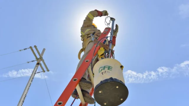 Ganancias de CFE caen 94 por ciento en el primer trimestre de 2024